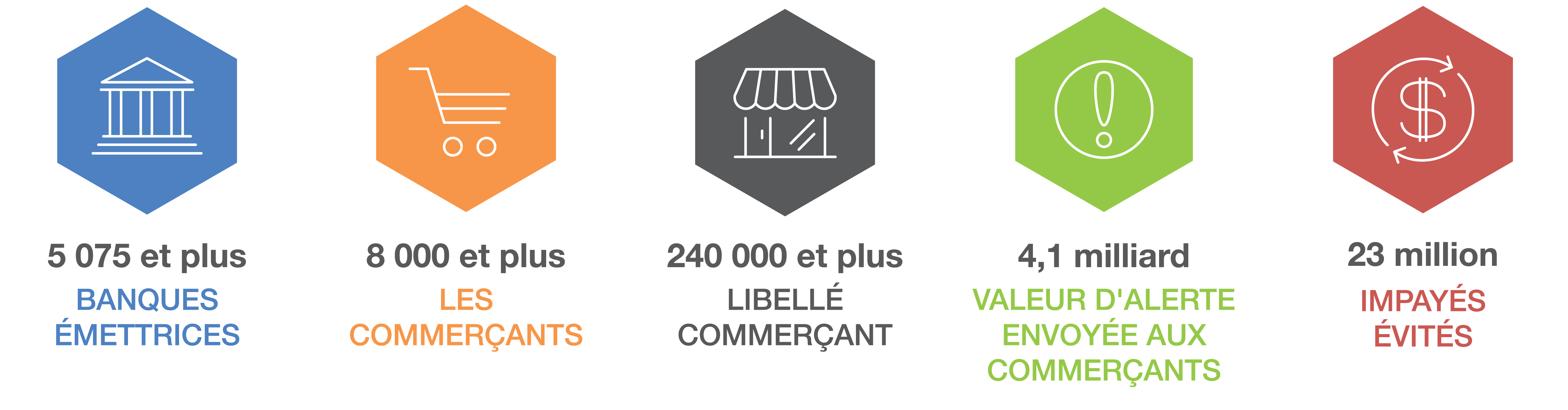 French Network Graphic